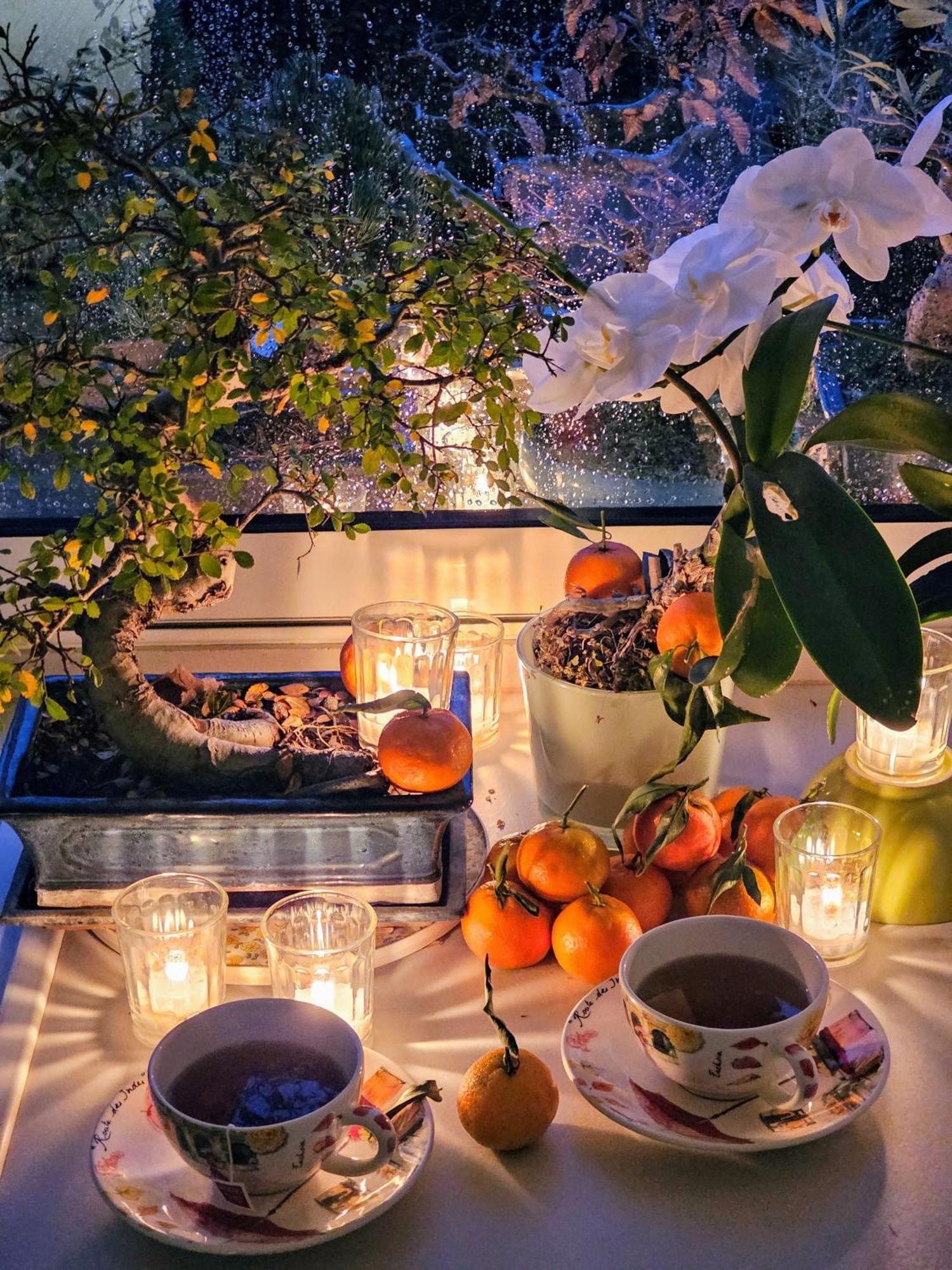 Terrasse De Malissol Apartman Vienne Kültér fotó